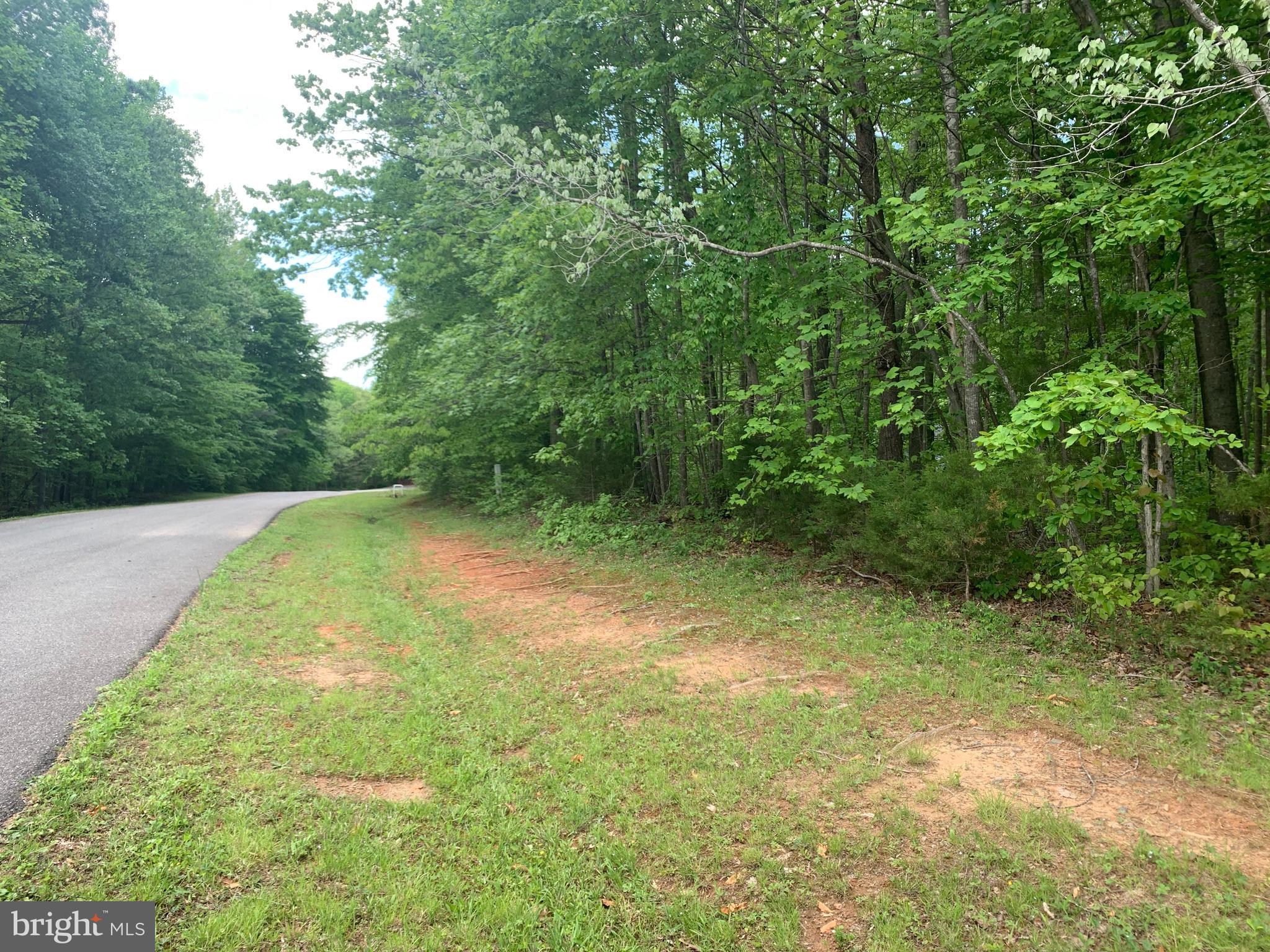 7203 Castaway Beach Road Orange, VA 22960 - Photo 14 of 16