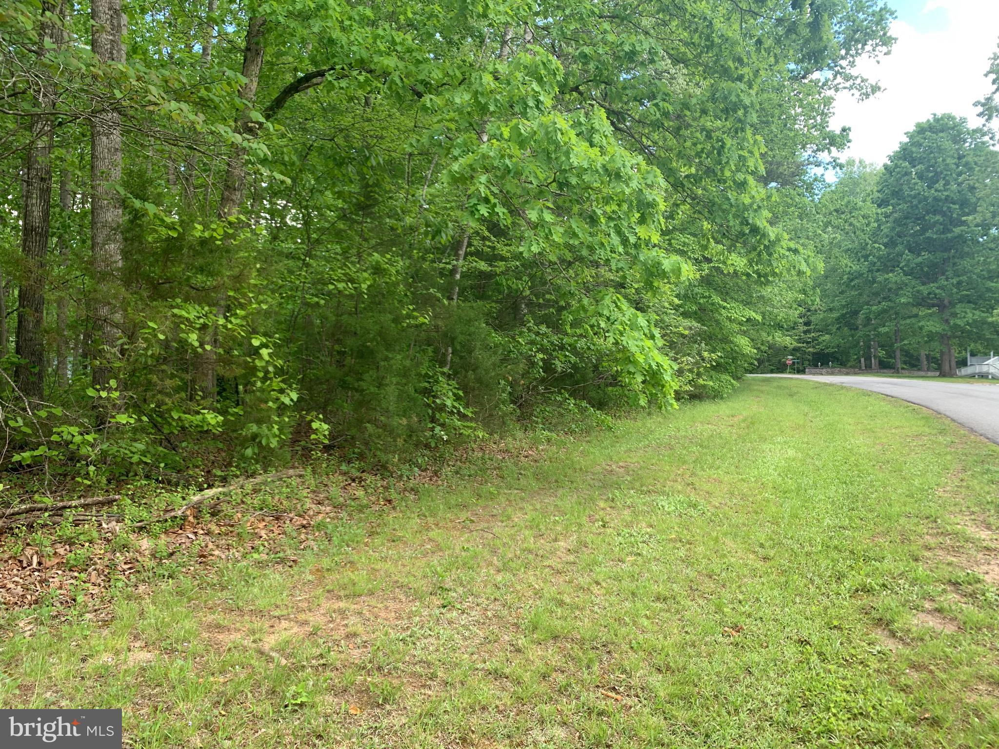 7203 Castaway Beach Road Orange, VA 22960 - Photo 15 of 16