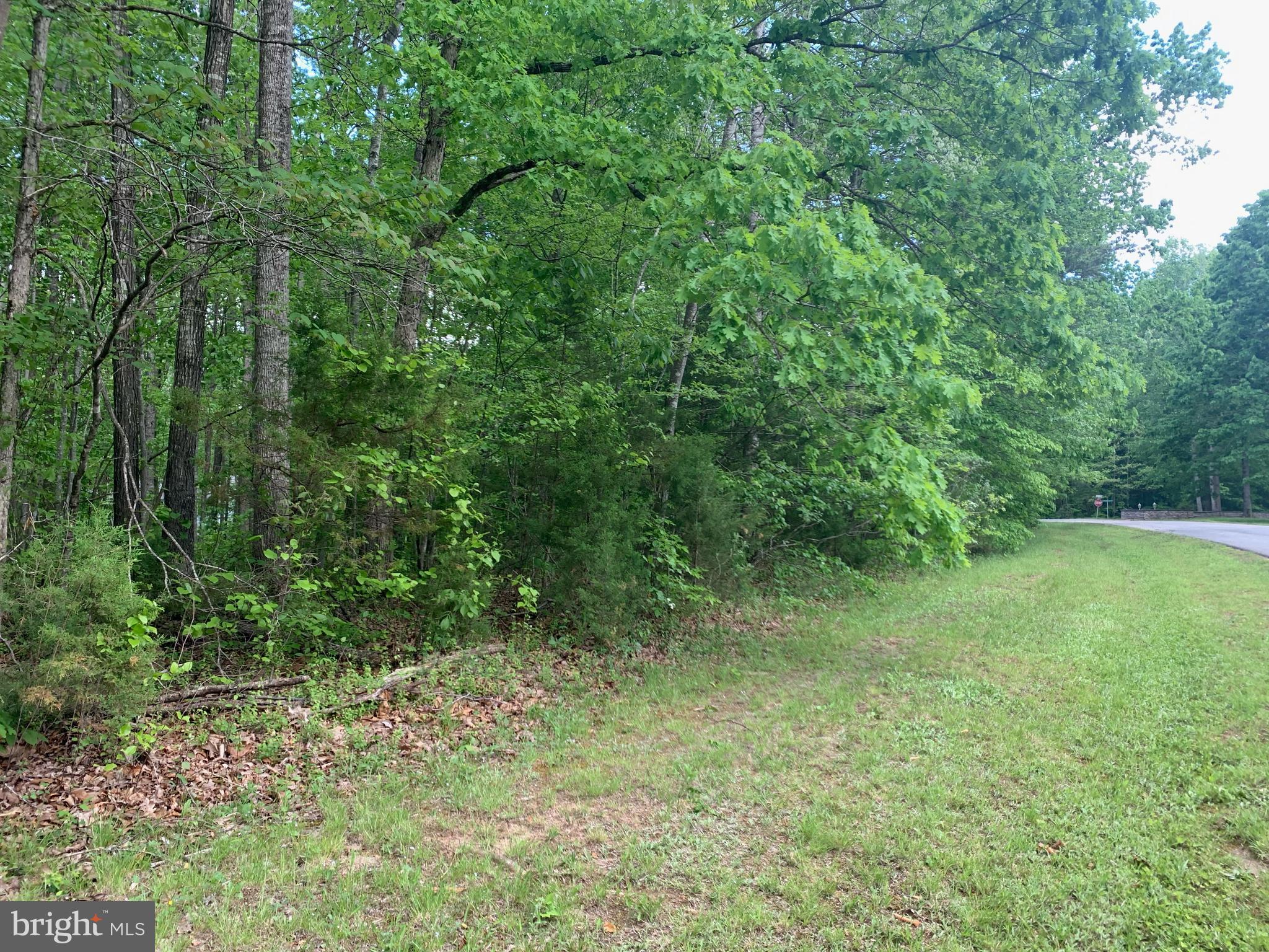 7203 Castaway Beach Road Orange, VA 22960 - Photo 16 of 16