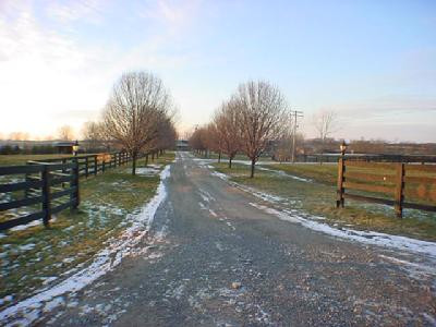 351 Harp Innis Road Lexington, KY 40511 - Photo 1 of 6 Photo 1