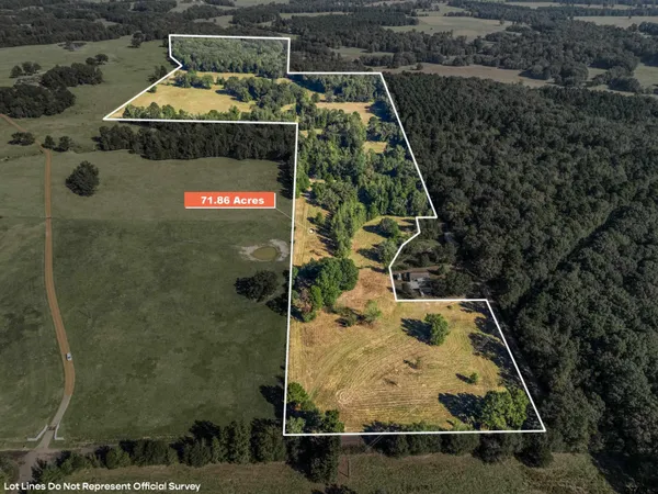 $499,900 | Tbd Giraffe Road, Gilmer, TX 75644