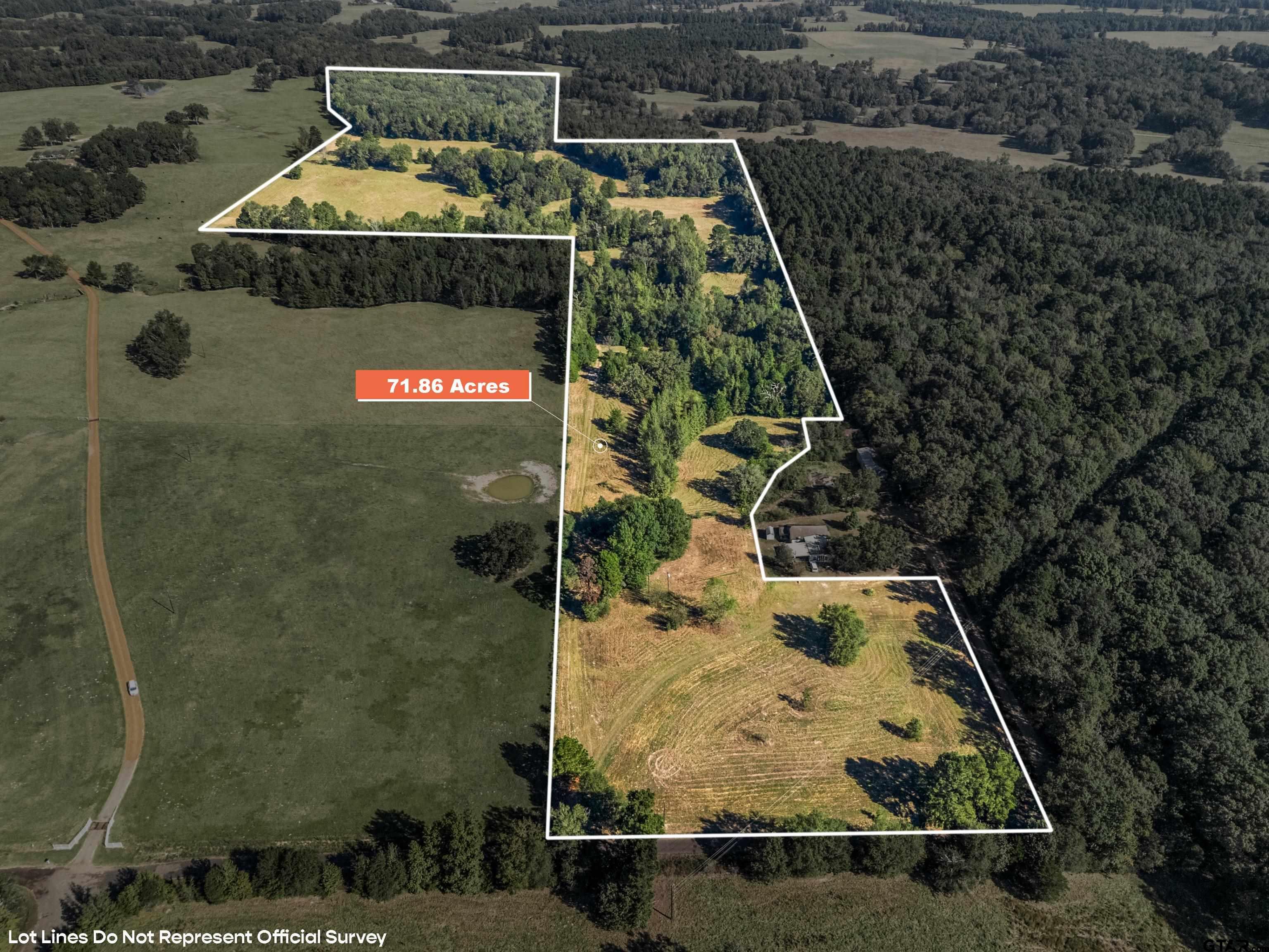 Tbd Giraffe Road Gilmer, TX 75644 - Photo 1 of 2