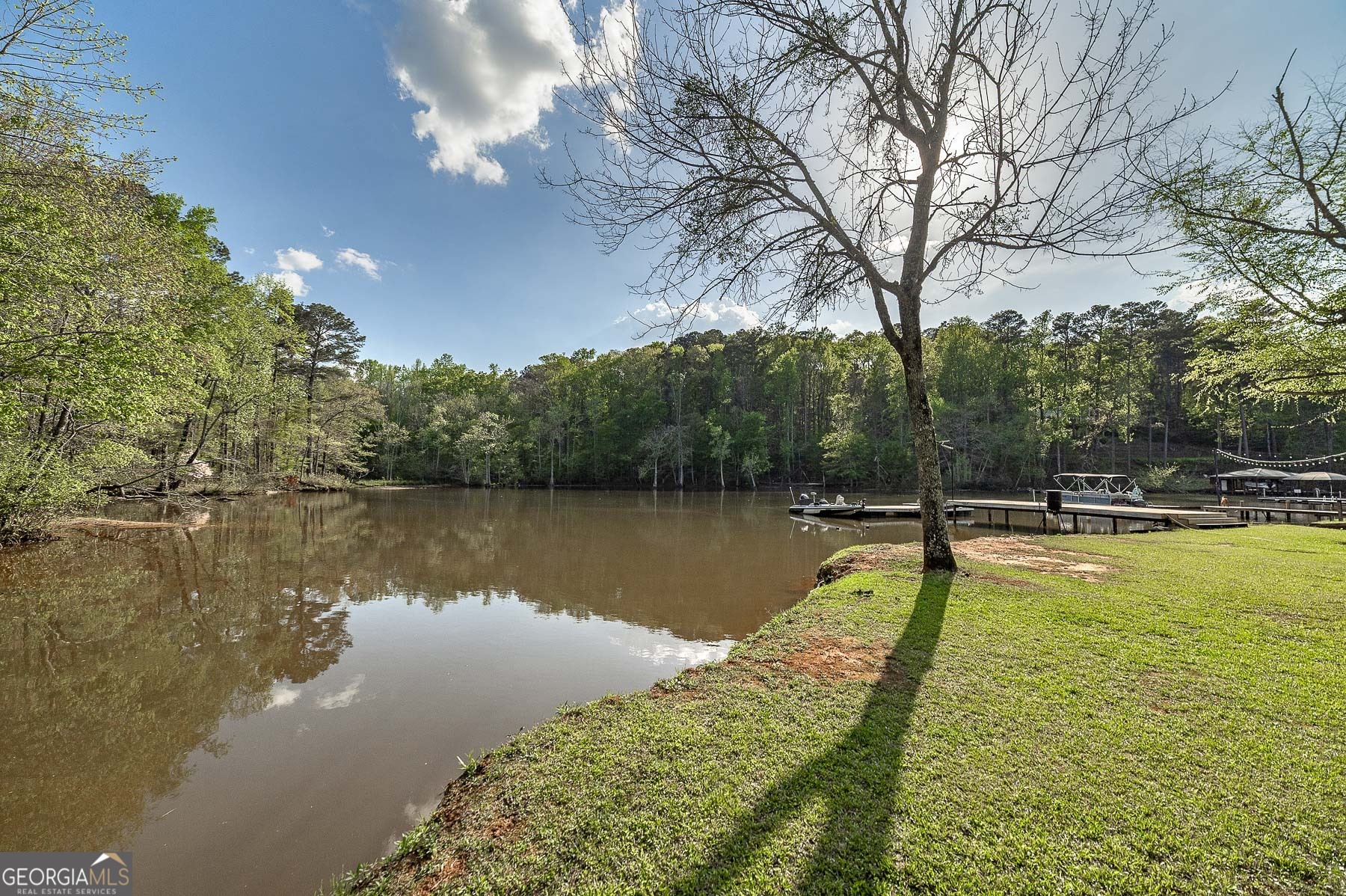 167 Edison Lane Monticello, GA 31064 - Photo 16 of 21 a view of a swimming pool with a lake view
