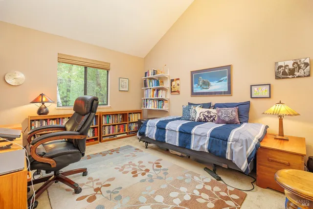 a living room with furniture rug and window