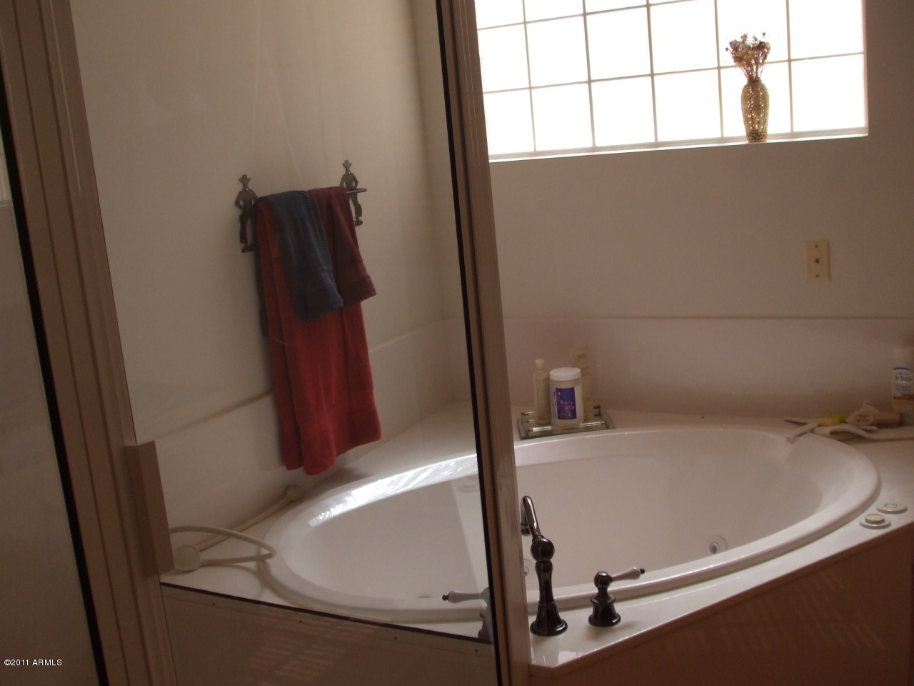 850 North Cortez Road Apache Junction, AZ 85119 - Photo 21 of 21 Master tub and shower