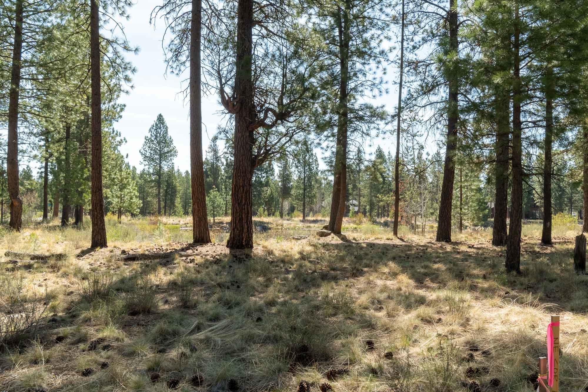 56436 Fireglass Loop Bend, OR 97707 - Photo 8 of 20 Just Imagine....