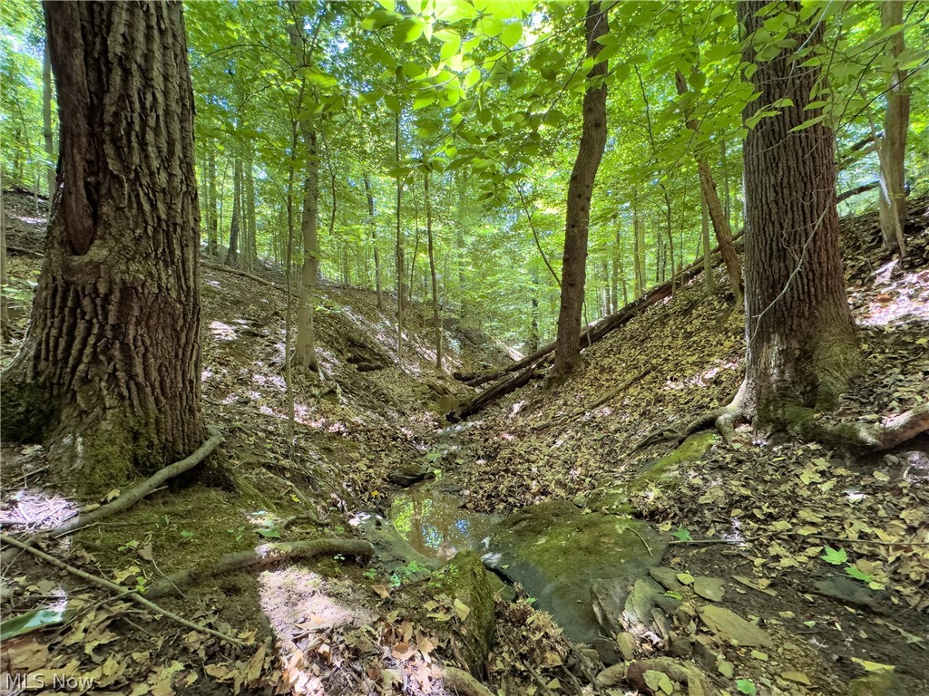 0 Long Hollow Road Pomeroy, OH 45769 - Photo 21 of 31