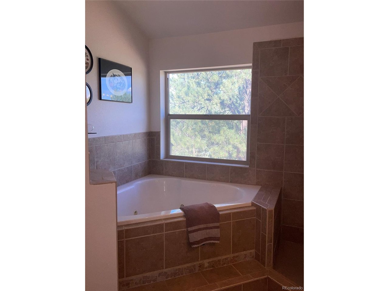 3943 Co Road Florissant, CO 80816 - Photo 21 of 37 Gallery Image 21