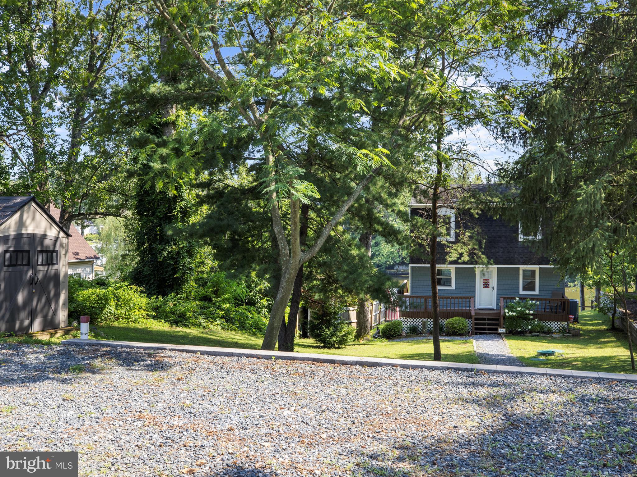 593 Riverside Drive Pasadena, MD 21122 - Photo 6 of 56 a view of a house with a yard and large trees