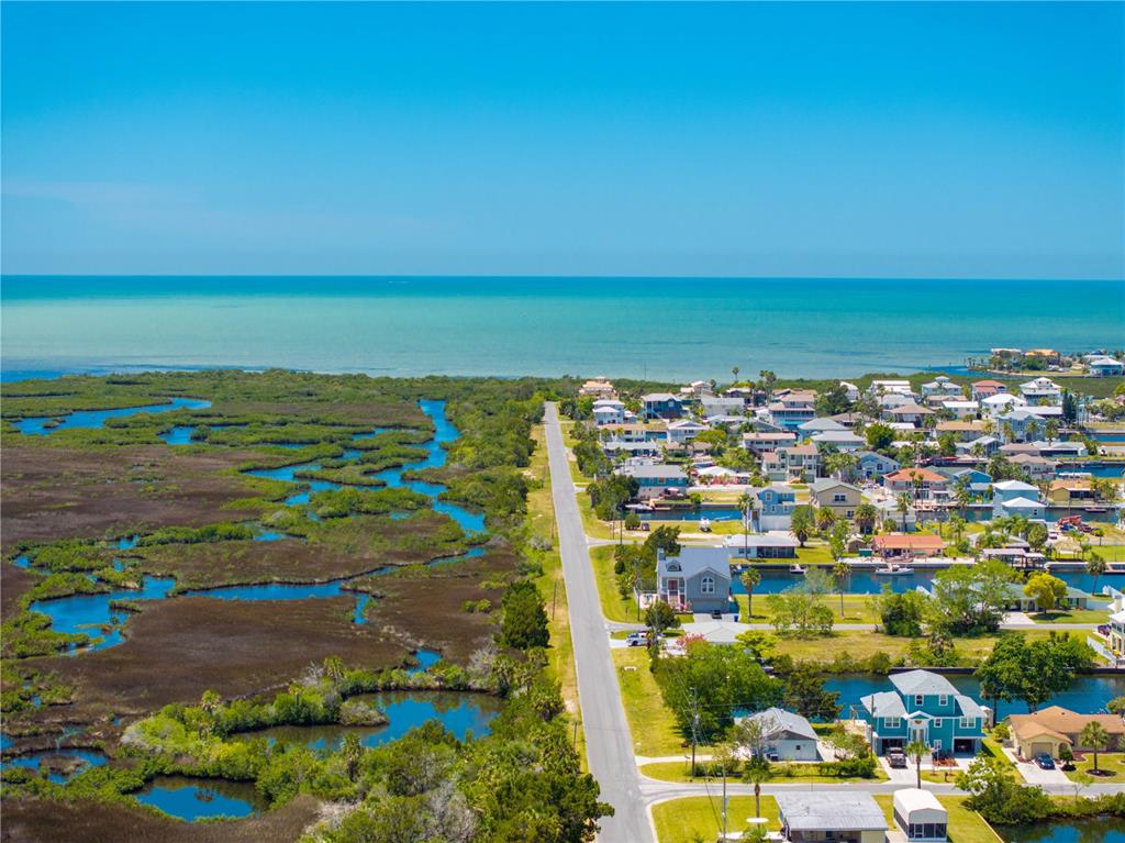 3379 Crape Myrtle Drive Hernando Beach, FL 34607 - Photo 62 of 68 a view of a city with an ocean