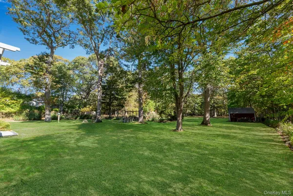 a view of a park with large trees