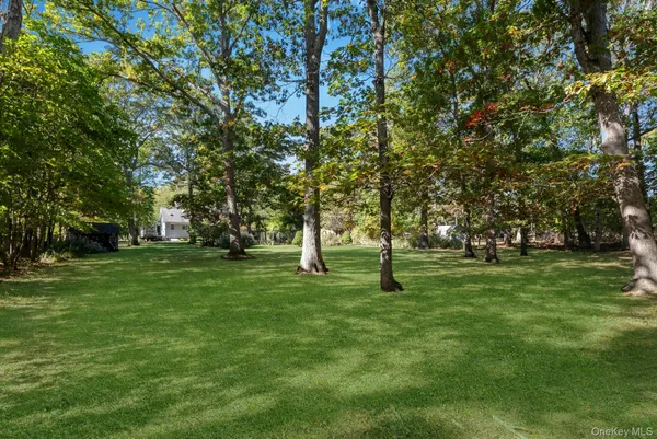 a huge green field with lots of trees