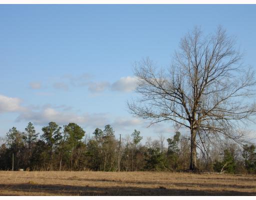 21995 Saucier Lizana Road Saucier, MS 39574 - Photo 3 of 9 Additional Photo
