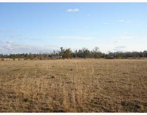 21995 Saucier Lizana Road Saucier, MS 39574 - Photo 5 of 9 Additional Photo