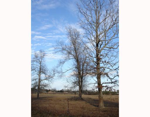 21995 Saucier Lizana Road Saucier, MS 39574 - Photo 6 of 9 Additional Photo