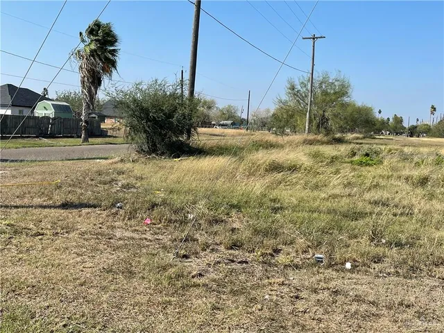 a view of a yard with a tree