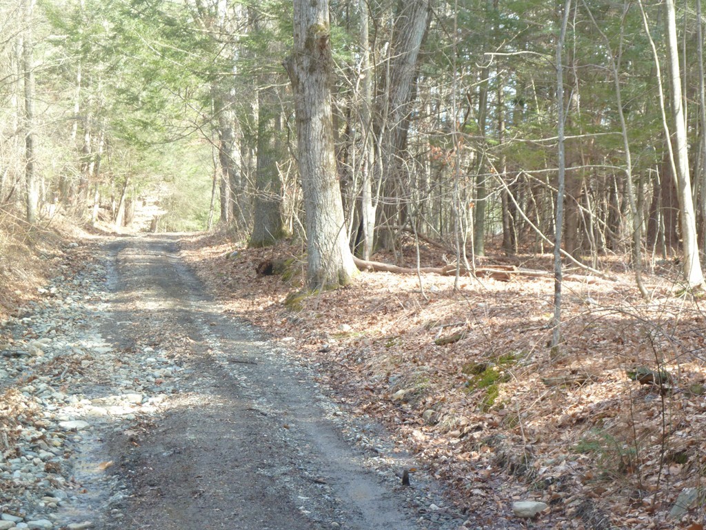 167 B W Road Bernardston, MA 01337 - Photo 7 of 9 Gallery Image 7