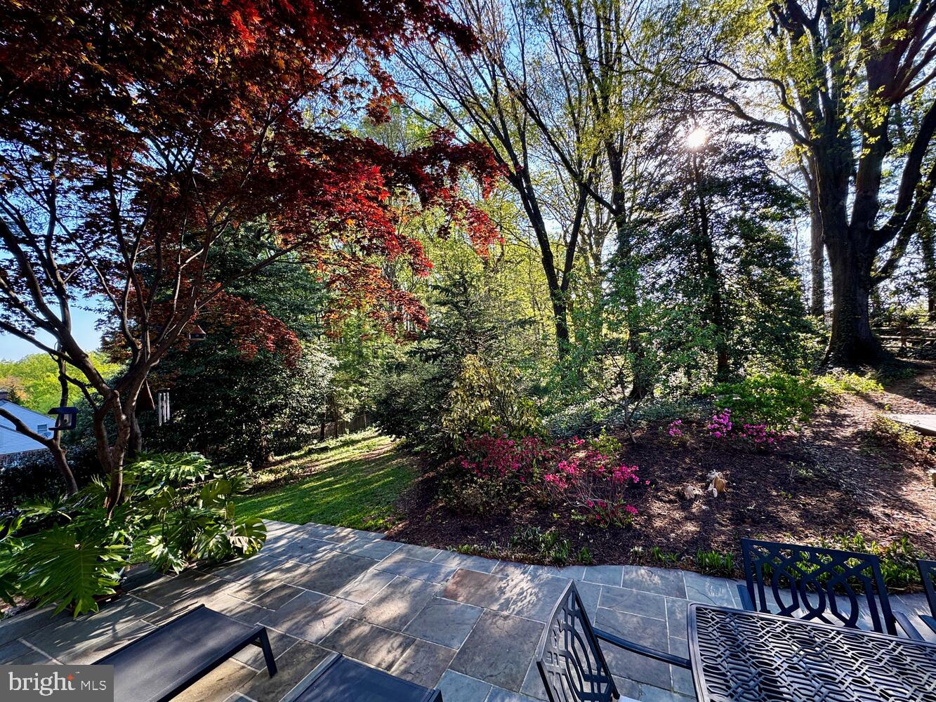 3811 Bent Branch Road Falls Church, VA 22041 - Photo 9 of 65 Private back yard with extensive landscaping