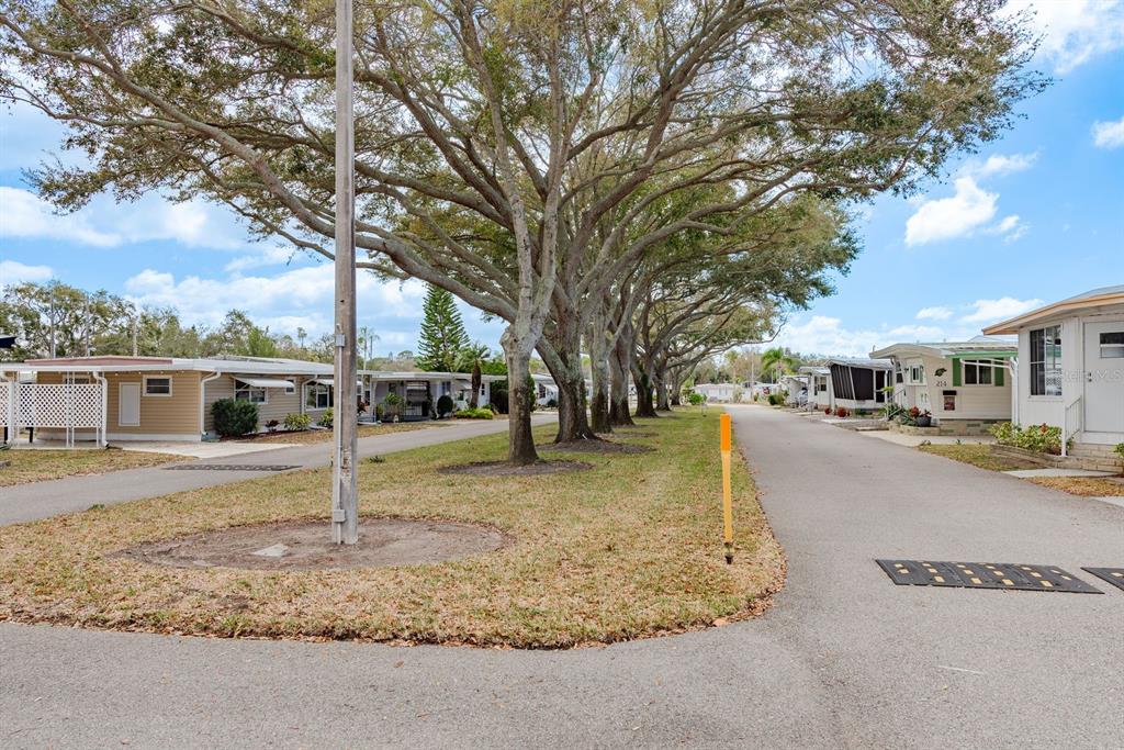 2331 Belleair Road, Unit 906 Clearwater, FL 33764 - Photo 33 of 41