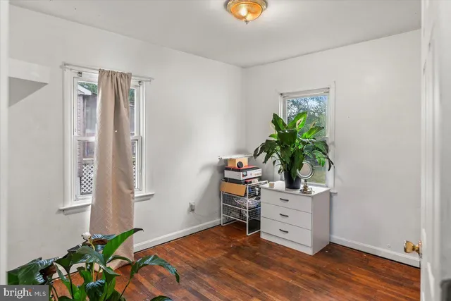 a room with furniture and a potted plant
