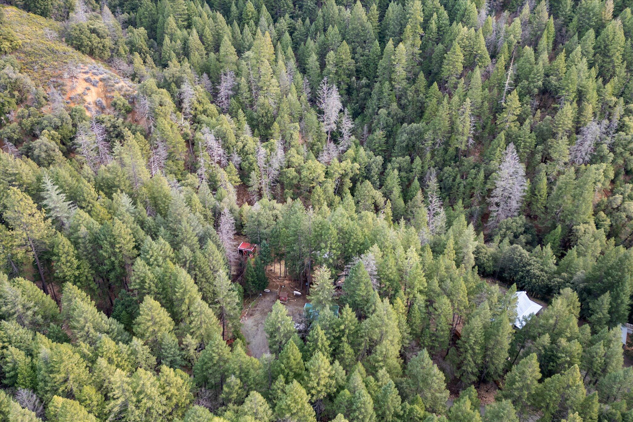 200 Button Road Weaverville, CA 96093 - Photo 48 of 54 51-BiggerFlow Real Estate Media-51