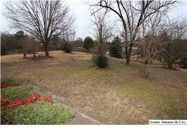95 Wattsville Drive Ragland, AL 35131 - Photo 3 of 17
