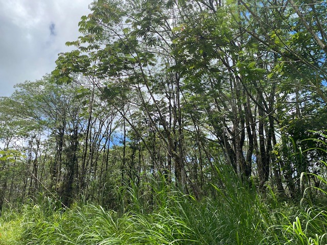 14-3525 Lot 228 Pikake Road Pahoa, HI 96778 - Photo 1 of 11