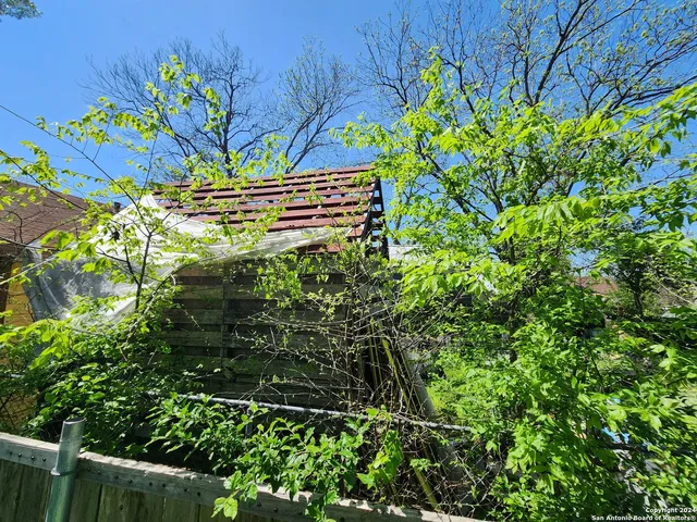 a view of a tree with a flower