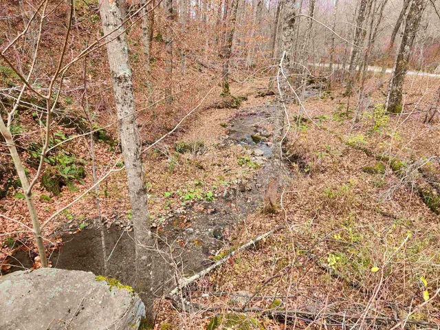 $295,000 | 1266 Little Village Road, Danby, VT 05761