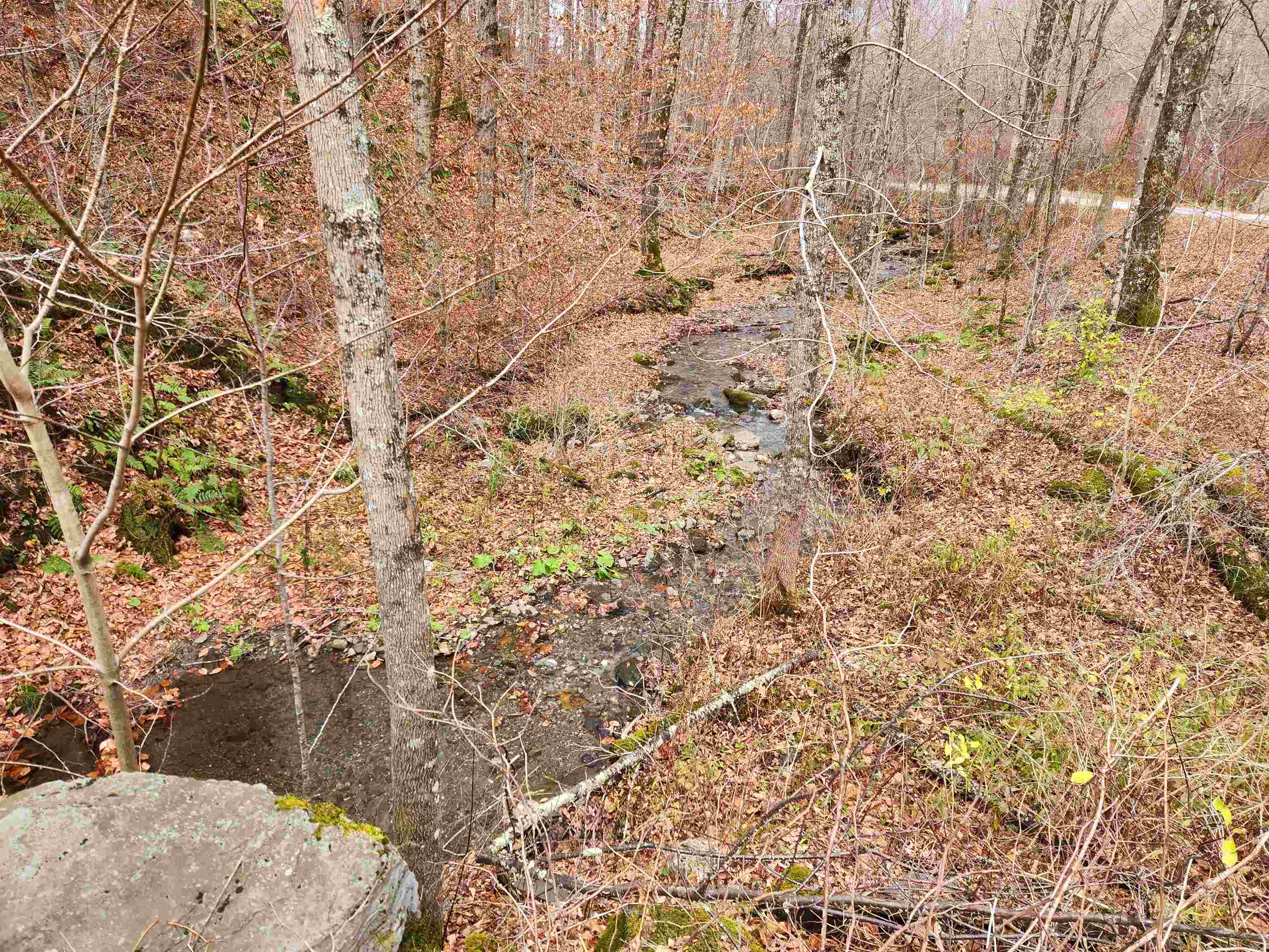 1266 Little Village Road Danby, VT 05761 - Photo 27 of 30