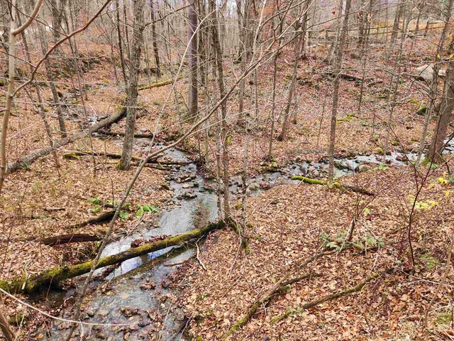 $295,000 | 1266 Little Village Road, Danby, VT 05761