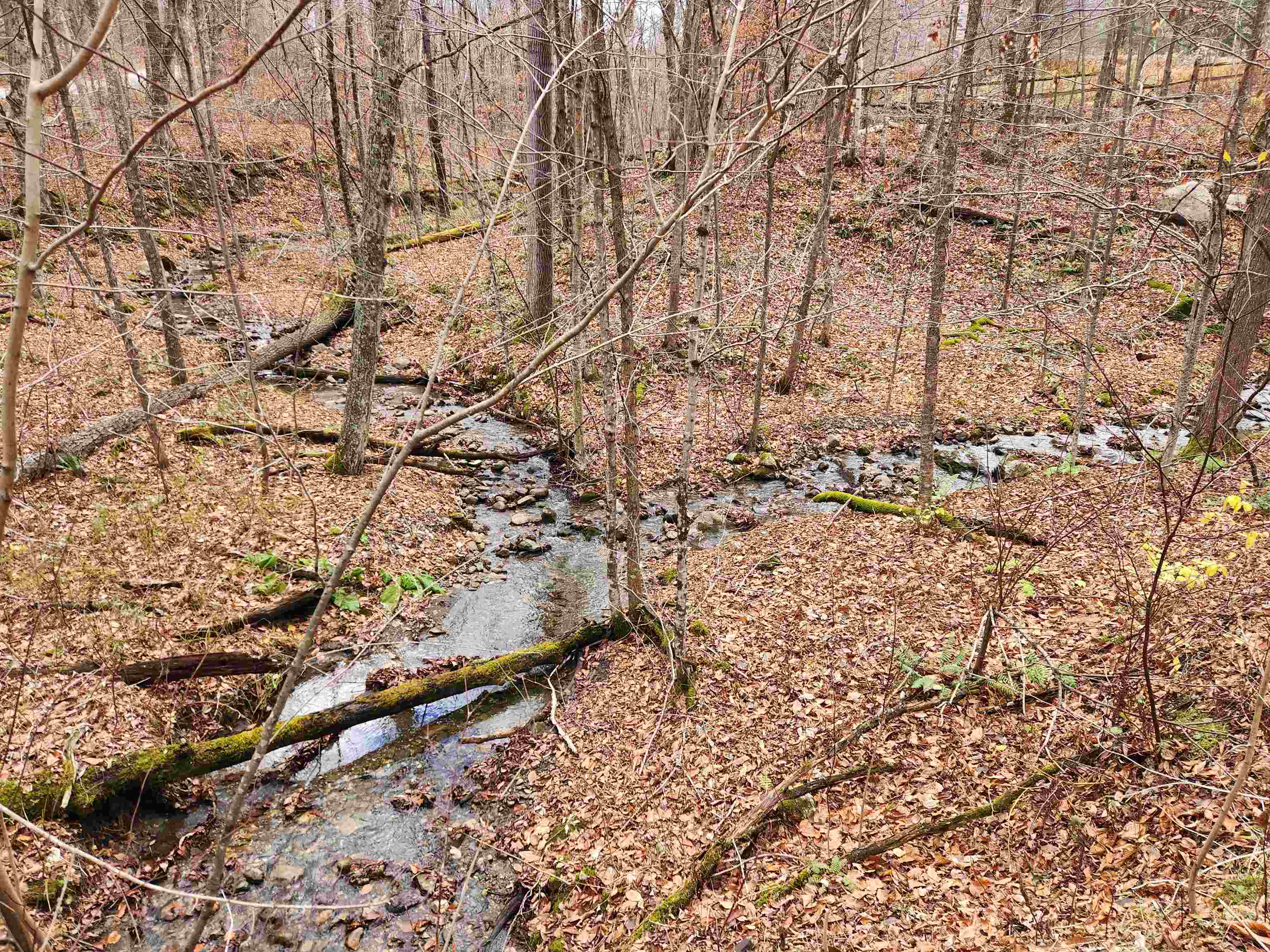 1266 Little Village Road Danby, VT 05761 - Photo 28 of 30