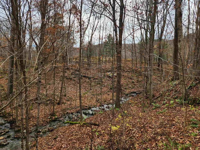 $295,000 | 1266 Little Village Road, Danby, VT 05761