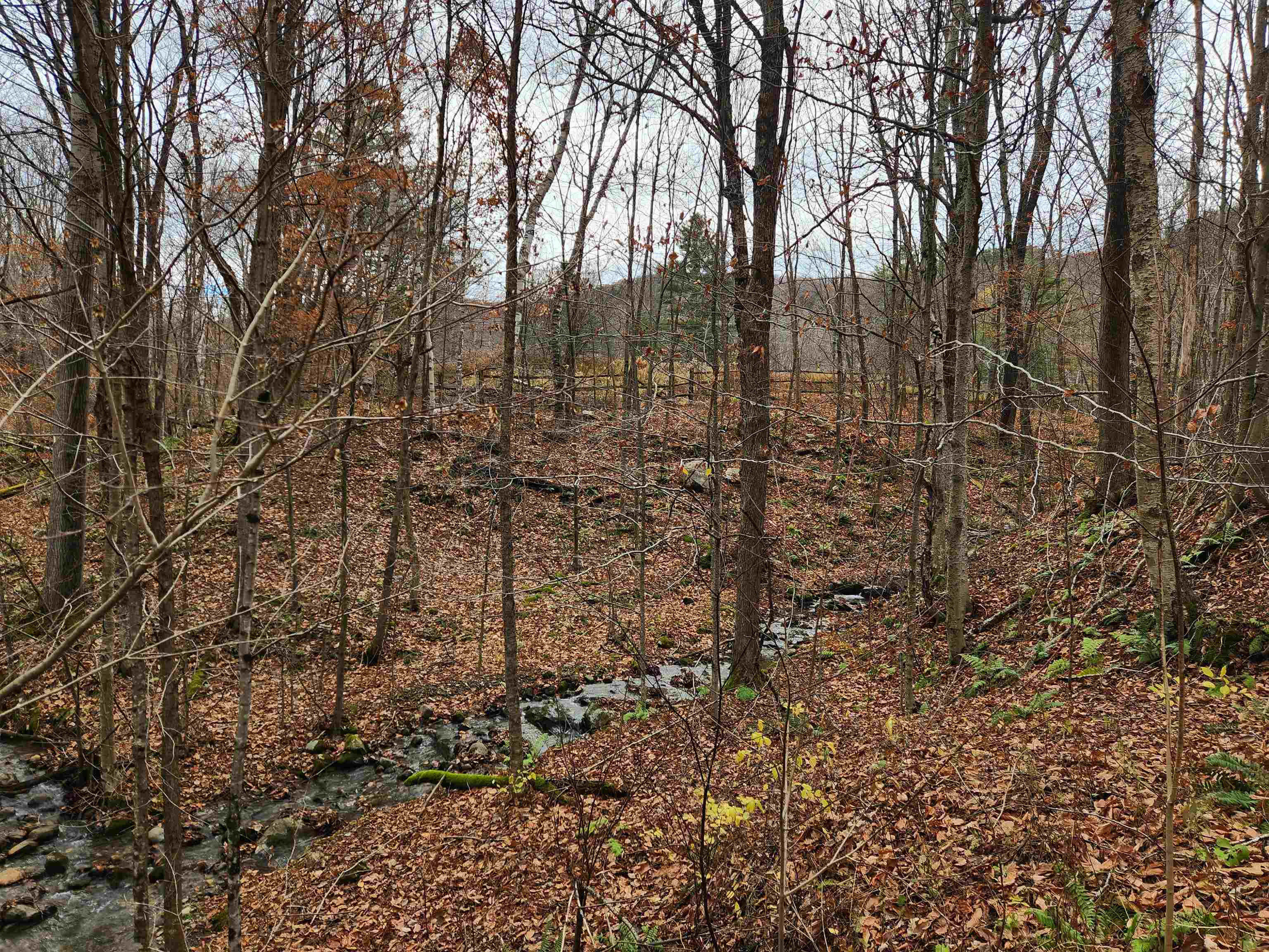 1266 Little Village Road Danby, VT 05761 - Photo 29 of 30