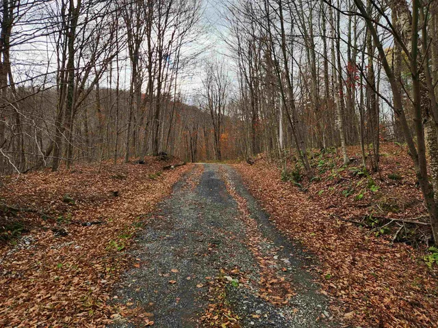 $295,000 | 1266 Little Village Road, Danby, VT 05761