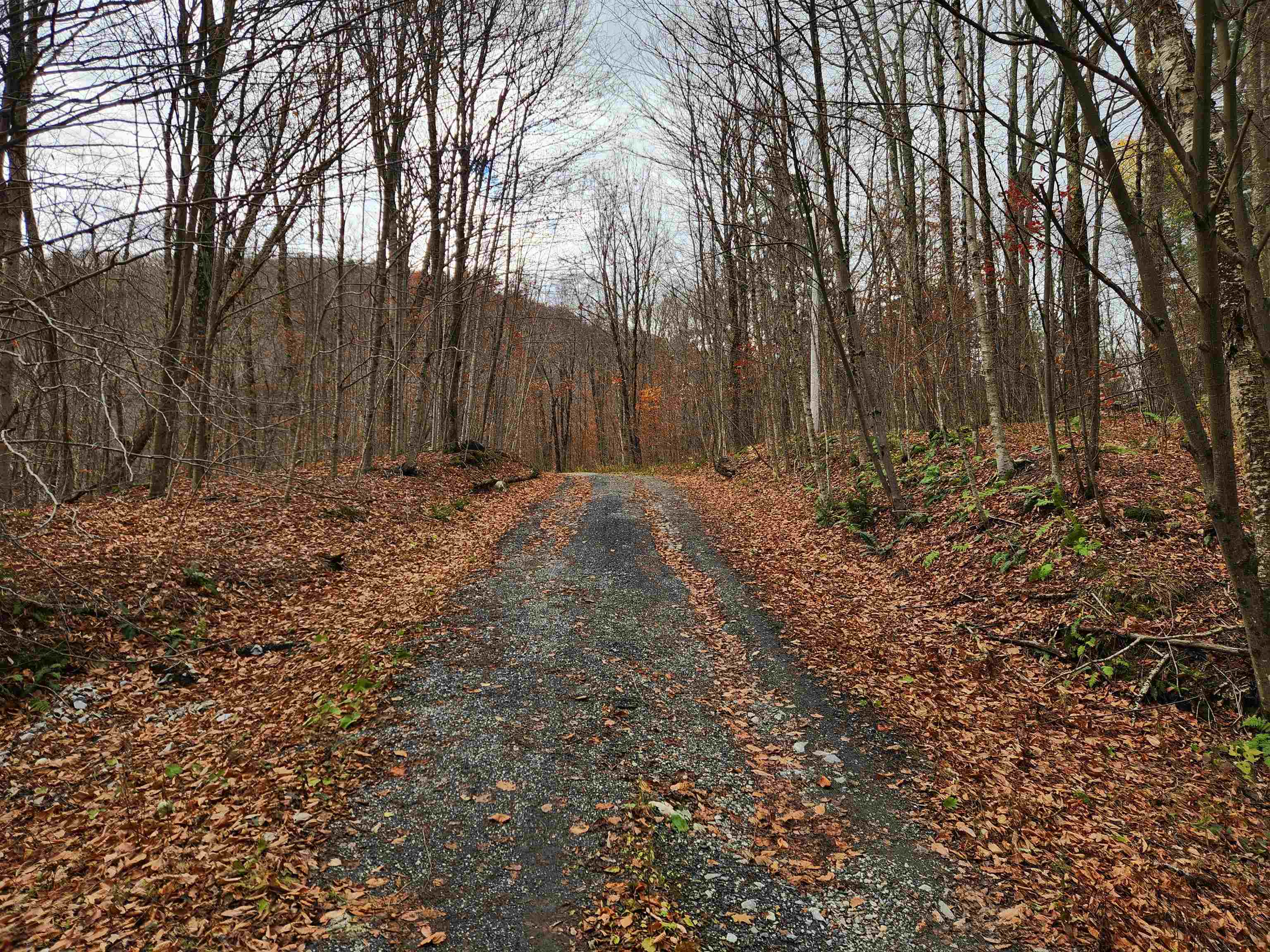 1266 Little Village Road Danby, VT 05761 - Photo 30 of 30