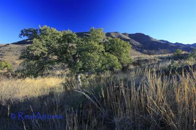0 Grosvenor Way Rio Rico, AZ 85648 - Photo 2 of 10