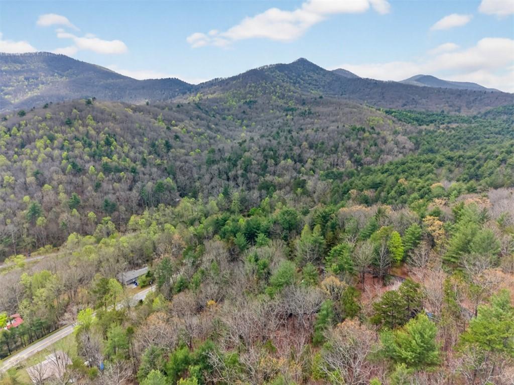88 Crest Road Blairsville, GA 30512 - Photo 69 of 75 a view of a lush green hillside and a houses