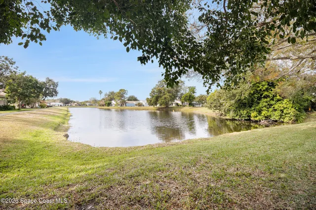 a view of a house with backyard and tree