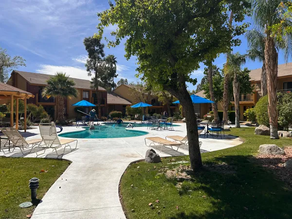 a view of a backyard with plants
