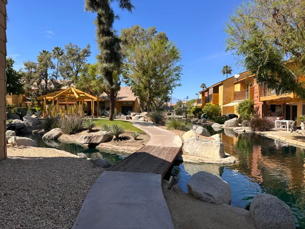 a view of a yard with plants and a large tree