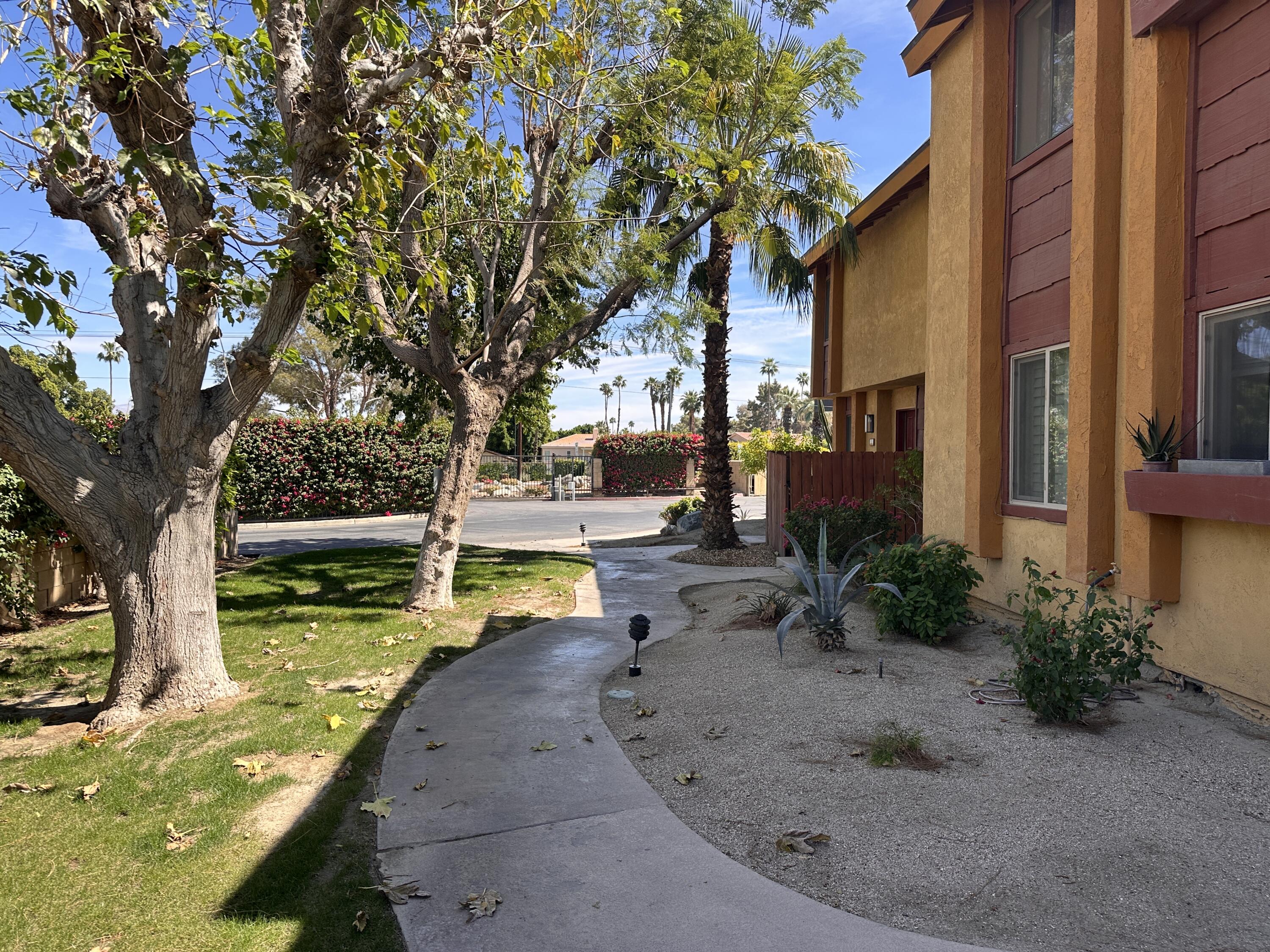 48255 Monroe Street, Unit 5 Indio, CA 92201 - Photo 10 of 57 a view of a yard with plants and a large tree
