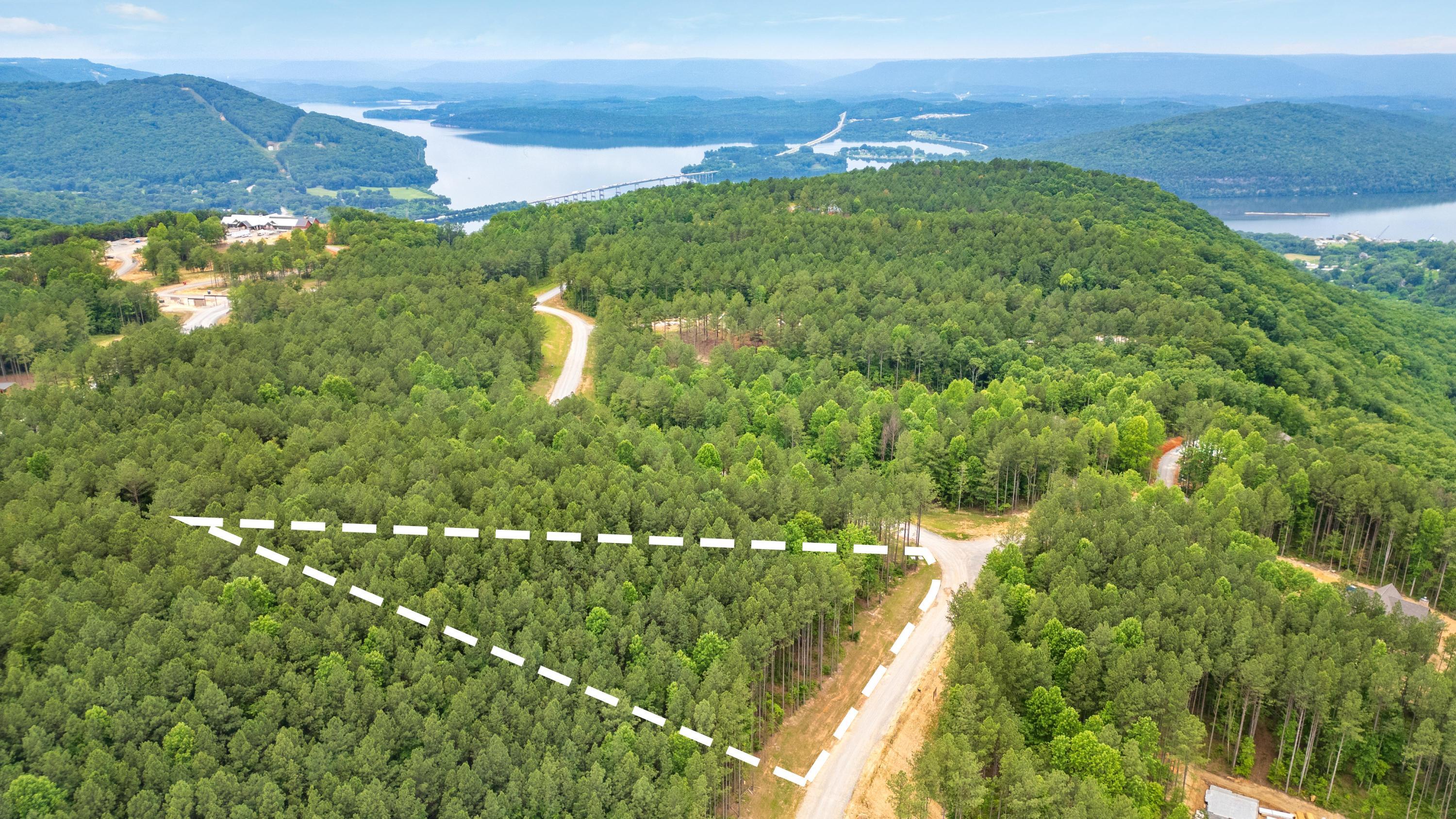 1108 Birds Eye Way Guild, TN 37340 - Photo 14 of 21 2025_06_June_Lot_1108_Birds_Eye_Way_0017