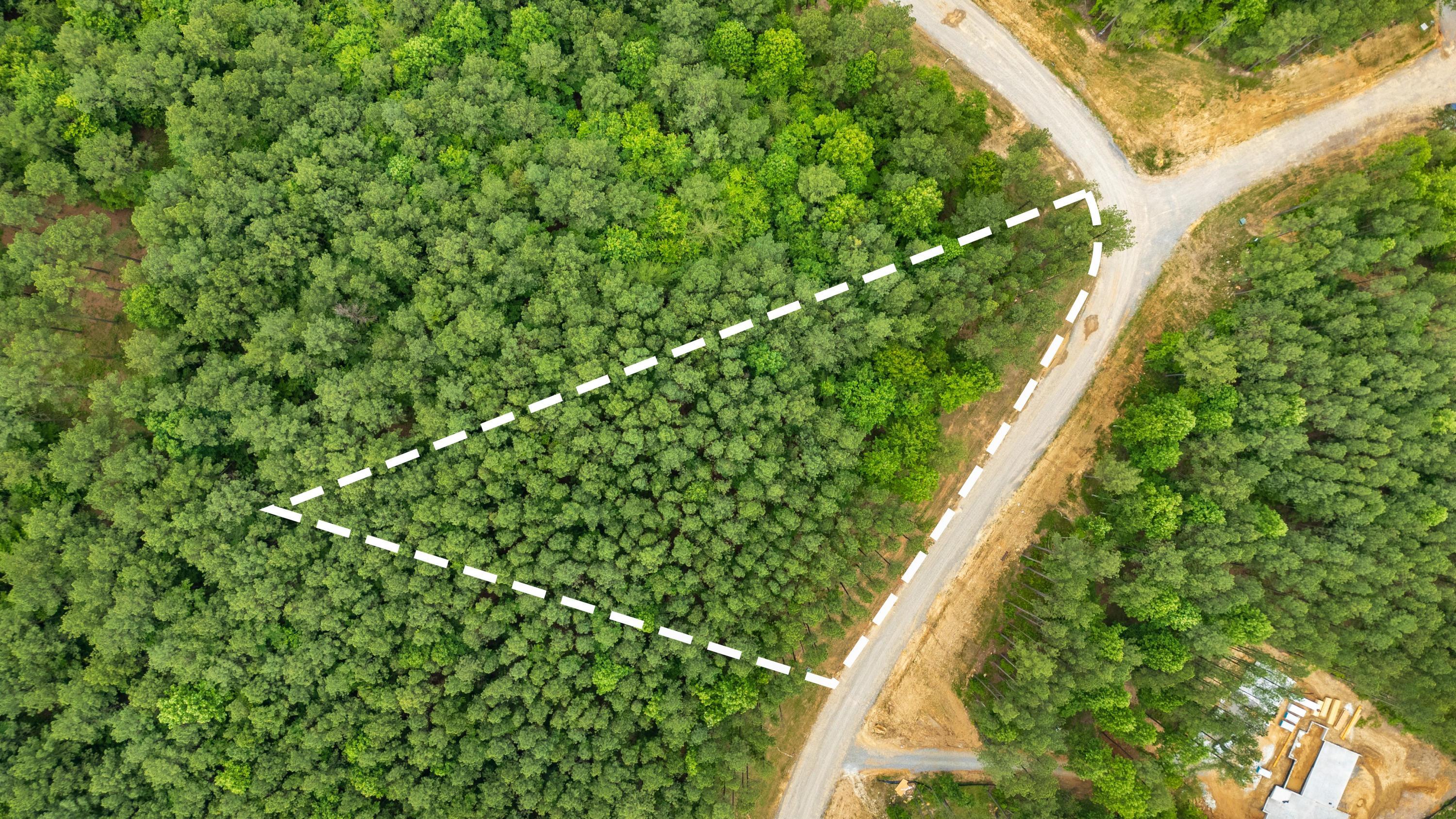 1108 Birds Eye Way Guild, TN 37340 - Photo 15 of 21 2025_06_June_Lot_1108_Birds_Eye_Way_0019