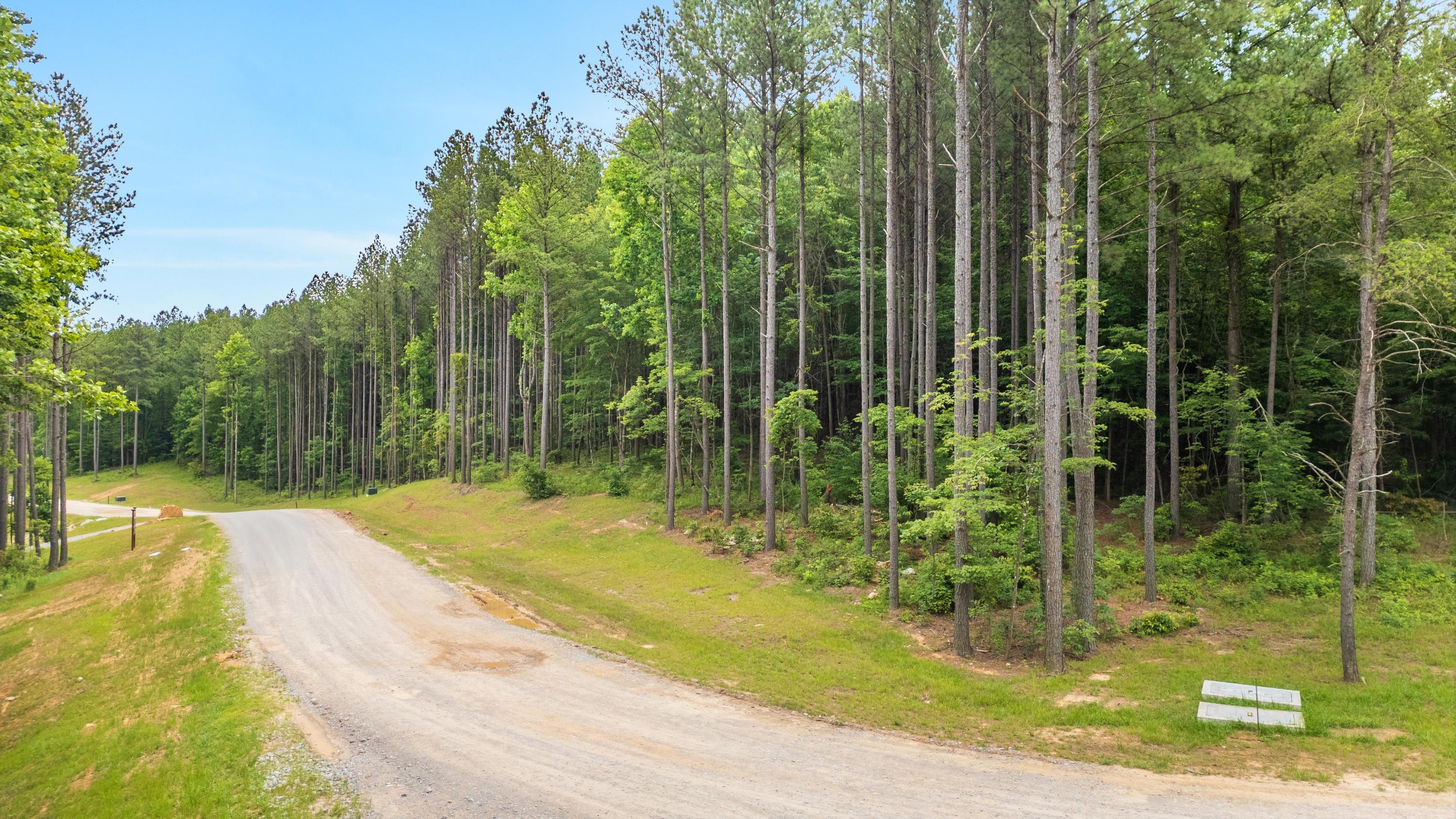 1108 Birds Eye Way Guild, TN 37340 - Photo 16 of 21 2025_06_June_Lot_1108_Birds_Eye_Way_0006