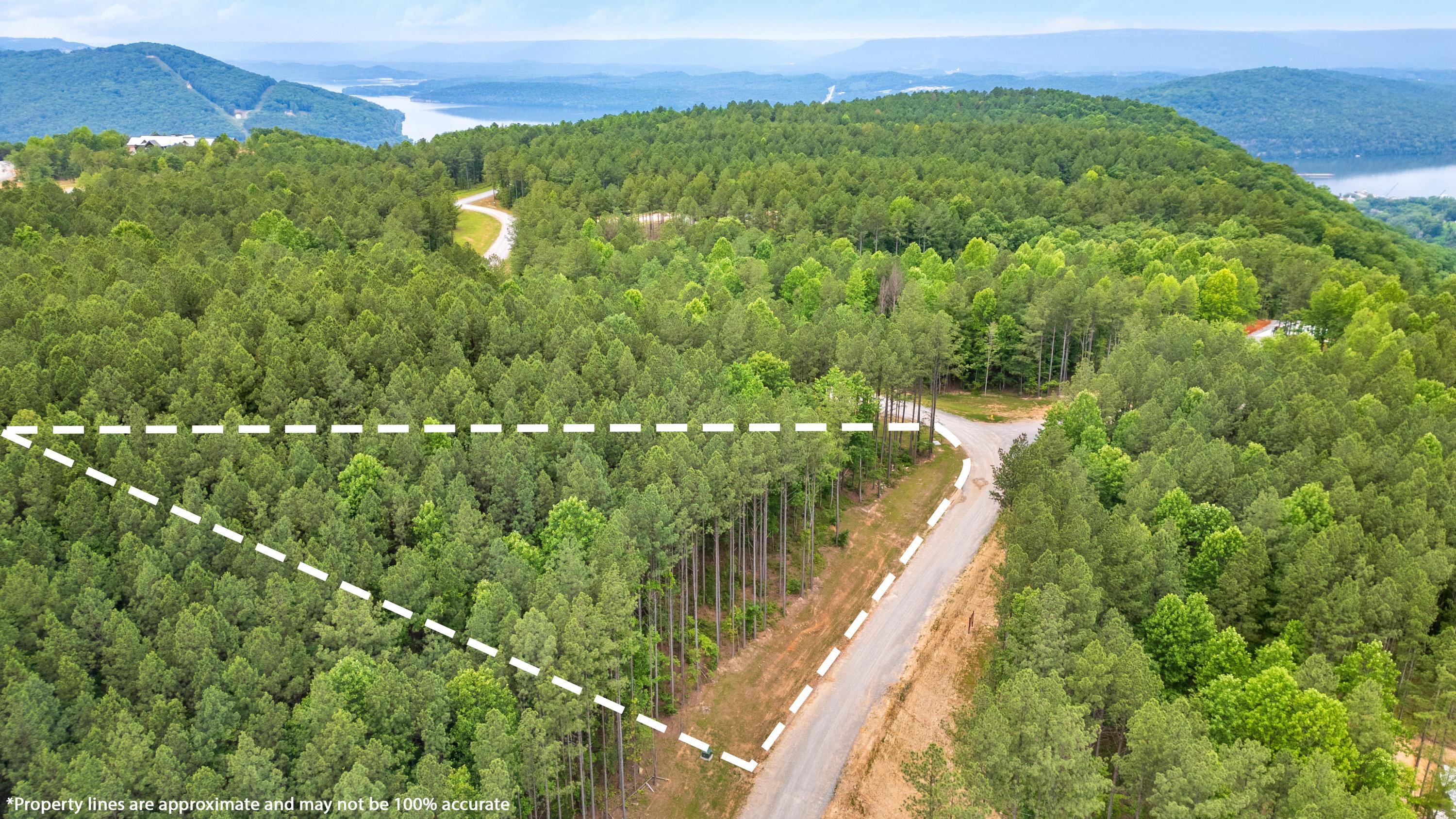 1108 Birds Eye Way Guild, TN 37340 - Photo 2 of 21 2025_06_June_Lot_1108_Birds_Eye_Way_0016