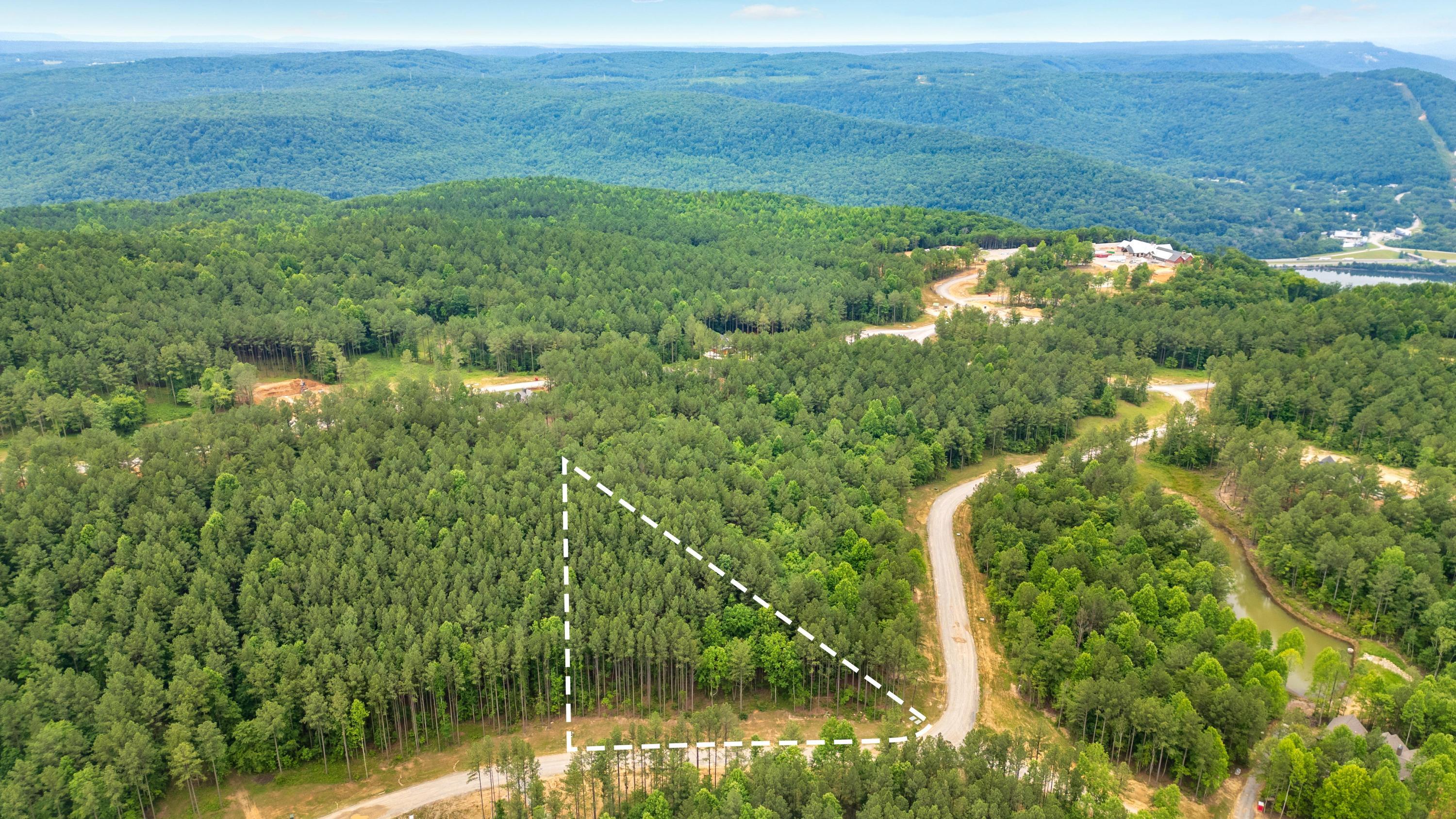 1108 Birds Eye Way Guild, TN 37340 - Photo 21 of 21 2025_06_June_Lot_1108_Birds_Eye_Way_0020