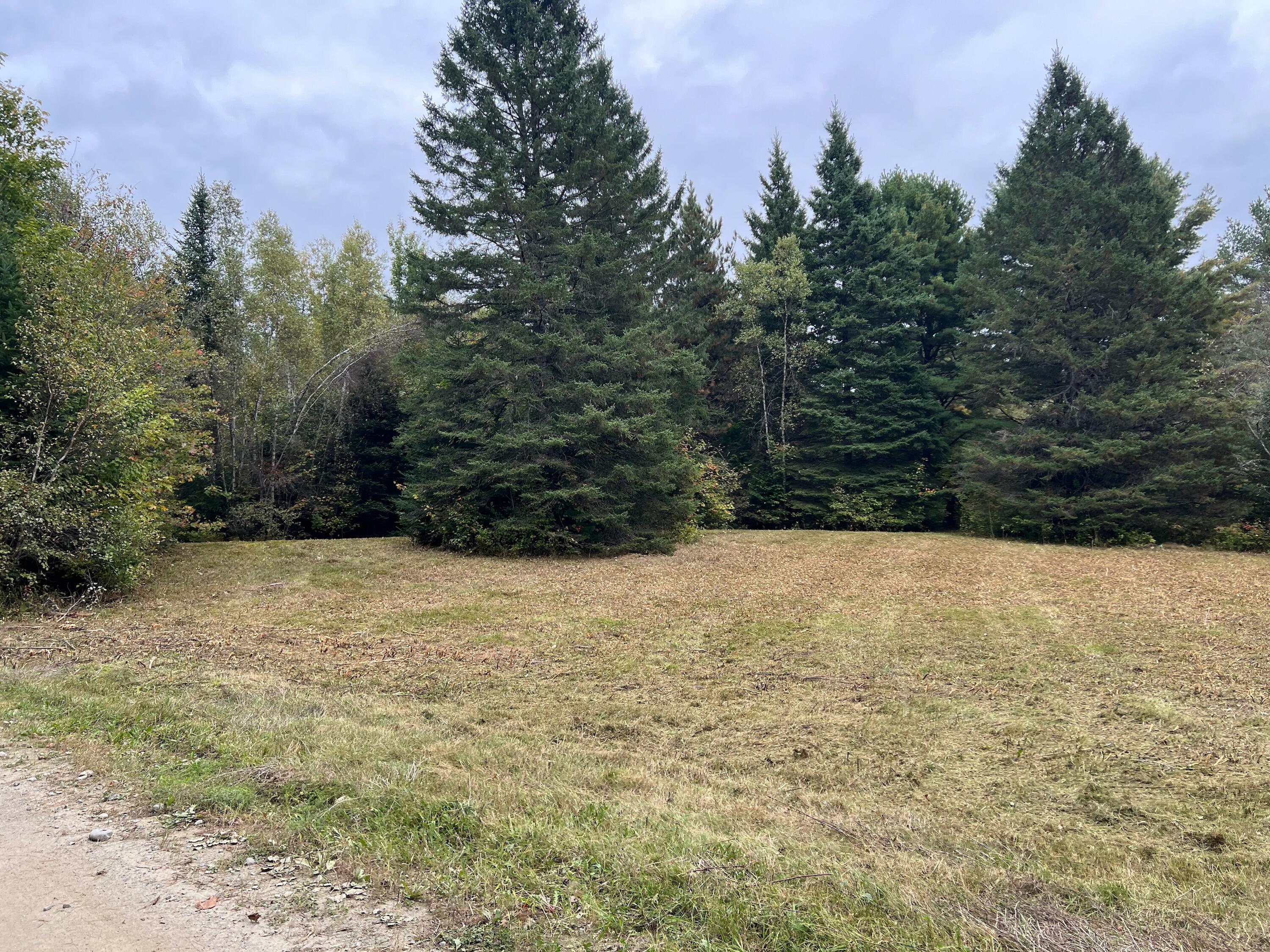 Lot 4 Town Line Road Springfield, ME 04487 - Photo 5 of 15 IMG_5135