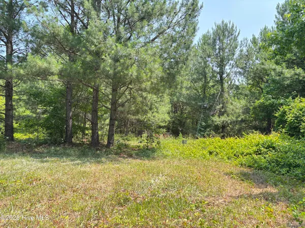 $25,000 | Lot 23 Buckhorn Church Road, Como, NC 27818