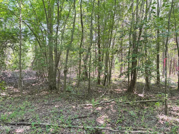 $25,000 | Lot 23 Buckhorn Church Road, Como, NC 27818
